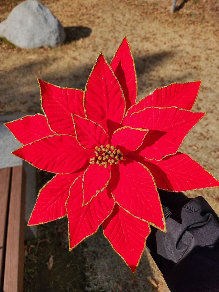 일반포인(레드) 대, 중, 소  