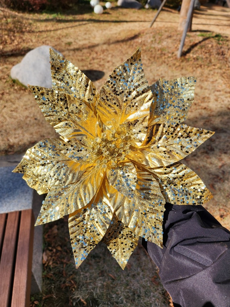 진주포인(골드) 대, 중, 소